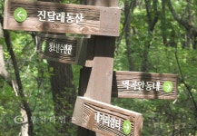 [생생포토] 오리엔티어링에 신바람 난 원미산 하루 :: 부천타임즈