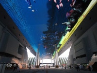 [생생포토] 하늘에 떠있는 디지털 바다 :: 부천타임즈