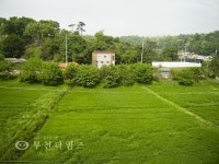 아름다운 이야기,고향의 추억 옥길동 :: 부천타임즈