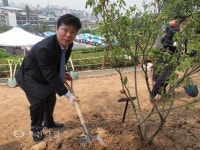 김만수 시장 철쭉의 꽃말은 사랑의 즐거움 :: 부천타임즈