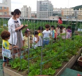 심곡2동 옥상텃밭으로 농촌문화체험 오세요 :: 부천타임즈