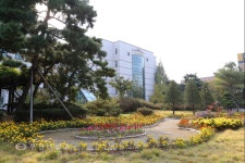 [생생포토]당신의 가을은? 길주로의 만추(晩秋) :: 부천타임즈