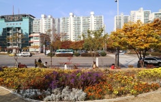 [생생포토]당신의 가을은? 길주로의 만추(晩秋) :: 부천타임즈