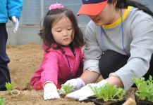 오정 희망마을 생태학교에서 밭작물 체험 했어요 :: 부천타임즈