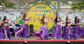 [생생포토] 라스샬루이 서성희 벨리댄스 여신 강림 :: 부천타임즈
