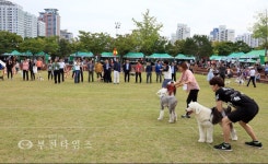 김만수 부천시장 개들 앞에서 축사는 처음이네 :: 부천타임즈
