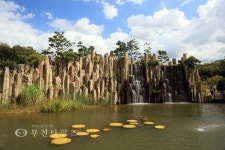 [생생포토]부천자연생태공원국화와 마주한 어느 날 :: 부천타임즈