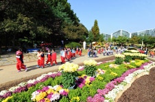 [생생포토]부천자연생태공원국화와 마주한 어느 날 :: 부천타임즈