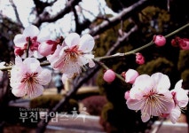 모두에게 희망을 주는 입춘대길 이었으면 좋겠습니다 :: 부천타임즈