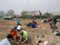 부천시 도시농부학교 신입생 선착순 30명 모집 :: 부천타임즈