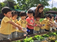 채소야 안녕? 과일아 반가워 :: 부천타임즈
