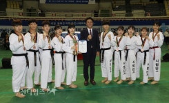 [생생포토]2017 부천시장기 체육대회 종합개회식 :: 부천타임즈