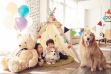 경기도 내 반려동물 월평균 양육비 10만원 미만 51.6% :: 부천타임즈