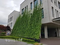 경기도, 학교·도서관 등 87곳에 그린커튼 조성 :: 부천타임즈