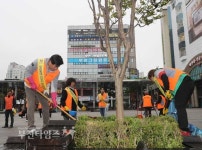 [생생포토] 부천역 마루광장 묵은 떼 벗고 활짝 :: 부천타임즈