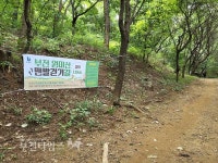 부천시, 맨발길 이용 활성화·올바른 맨발 걷기 :: 부천타임즈