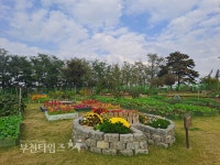 2025년 「고리울청춘농장 힐링텃밭」 참여단체 모집 :: 부천타임즈