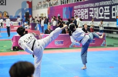 신천지 태권도 대표팀, 김운용컵 국제대회 수상…한국 태권도 위상 빛내 :: 부천타임즈
