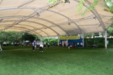 소개 > 부산진구홍보 > 구정갤러리 > 부산진구청장기 동호인게이트볼 대회 개최 | 부산 진구청