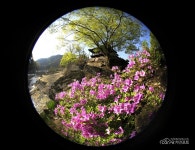 용암정 - 전체 - 자동차 중고차 커뮤니티 카앤포토