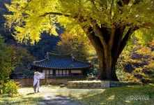 향정원 - 전체 - 자동차 중고차 커뮤니티 카앤포토