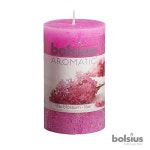 까사 CASA : [Bolsius 공식수입원] 볼시어스 프리미엄캔들 필라 센트 러스틱 라일락향(239g,30시간 [Bolsius 공식수입원] 볼시어스... 