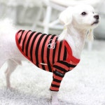 까사 CASA : 프레즌트 티셔츠_오렌지 프레즌트 티셔츠_오렌지 | 까사