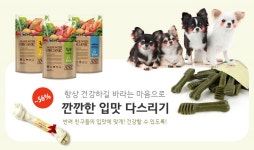 까사 CASA : 펫박스 브랜드전 펫박스 브랜드전 | 까사