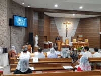 천주교 부산교구 교구소식 천주교 부산교구