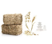 문화재사랑 | 문화재청