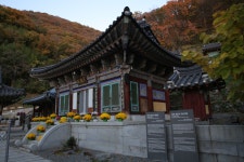 국가유산포털 | 유형분류