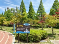 벽천분수 | 분야별정보