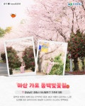 벚꽃명소 | 분야별정보