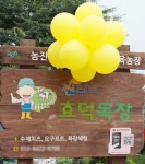 [ 먹거리추천 < 여행리포트 ]