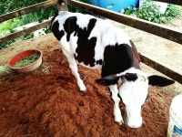 [ 먹거리추천 < 여행리포트 ]