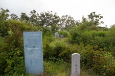 [ 먹거리추천 < 여행리포트 ]