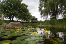 [ 먹거리추천 < 여행리포트 ]