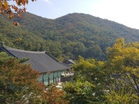 [ 관광체험기 < 여행리포트 ]