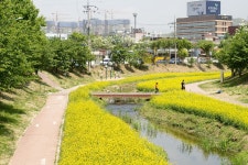 [ 먹거리추천 < 여행리포트 ]