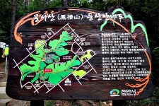 [ 추천여행기 < 여행리포트 ]