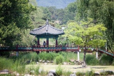 [ 먹거리추천 < 여행리포트 ]