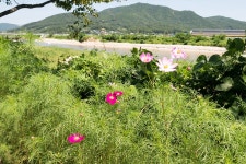 [ 추천여행기 < 여행리포트 ]