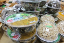 [ 추천여행기 < 여행리포트 ]