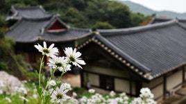 [ 추천여행기 < 여행리포트 ]