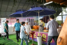 [ 먹거리추천 < 여행리포트 ]