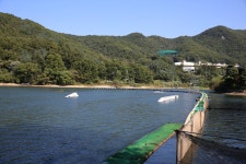 [ 먹거리추천 < 여행리포트 ]