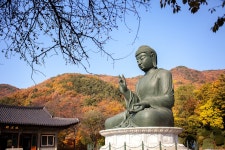 [ 추천여행기 < 여행리포트 ]