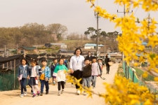 [ 먹거리추천 < 여행리포트 ]