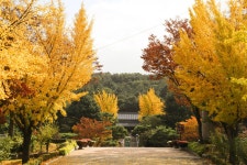 [ 먹거리추천 < 여행리포트 ]