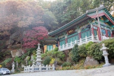 [ 먹거리추천 < 여행리포트 ]